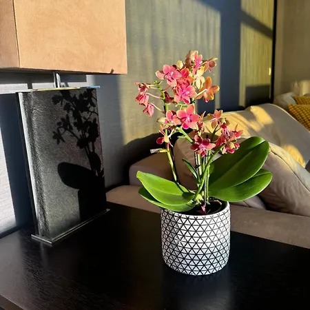 Luxury Family Beachfront Apartamento